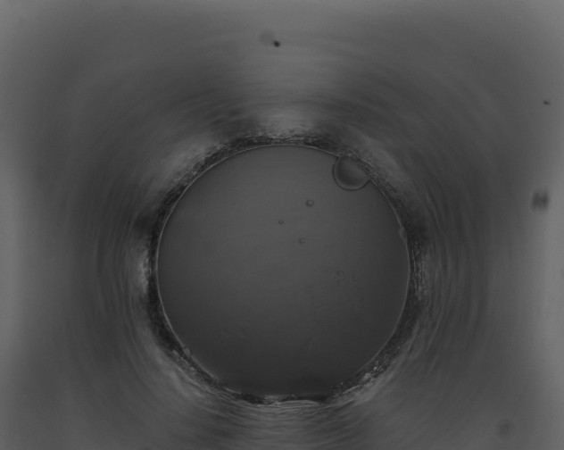 X0000093490644200710191228