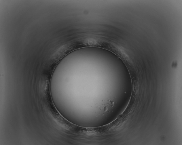 X0000093490645200710191228