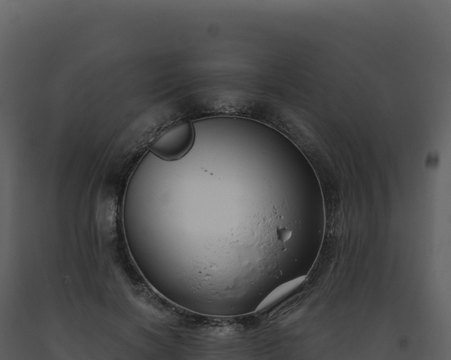 X0000093490646200710191228