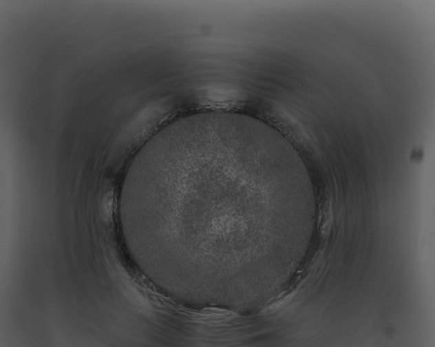 X0000093490647200710191228