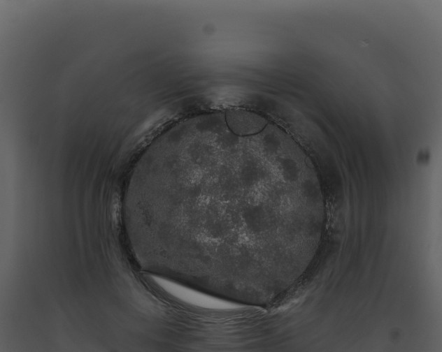 X0000093490648200710191228