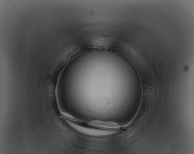 X0000093490649200710191228