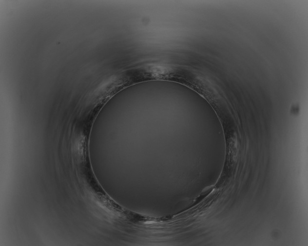 X0000093490650200710191228