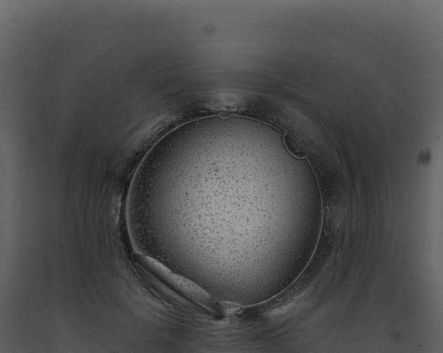 X0000093490652200710191228