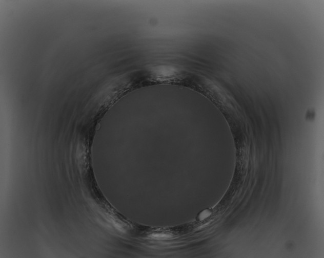 X0000093490653200710191228