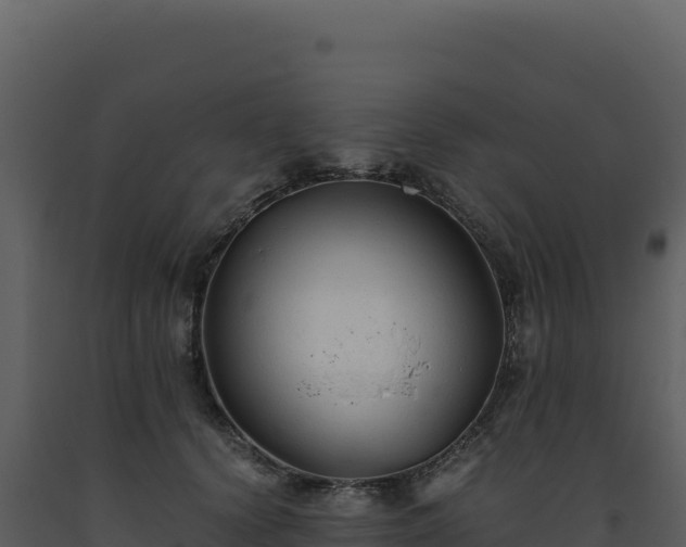 X0000093490656200710191228