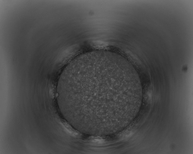 X0000093490658200710191228