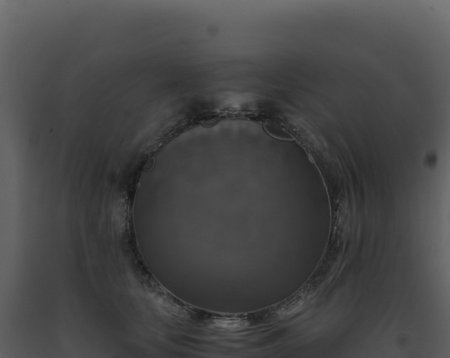 X0000093490659200710191228