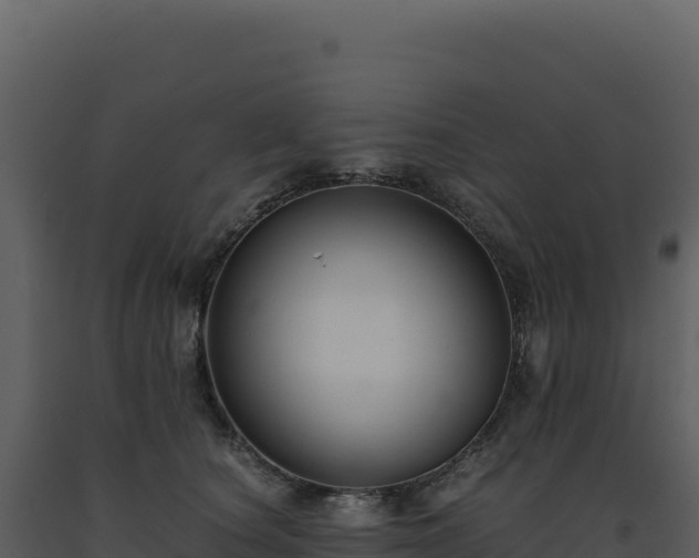 X0000093490660200710191228