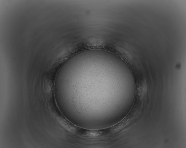 X0000093490662200710191228