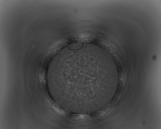 X0000093490663200710191228