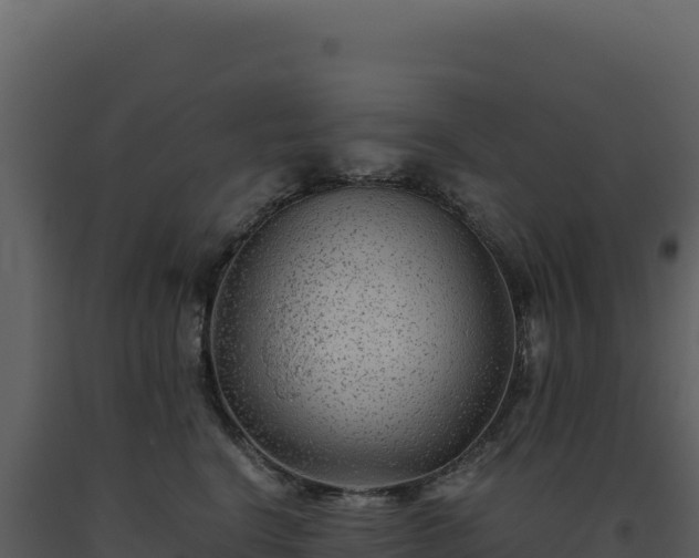 X0000093490664200710191228