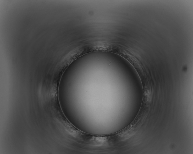 X0000093490665200710191228