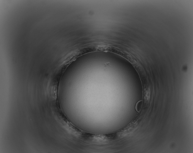 X0000093490666200710191228