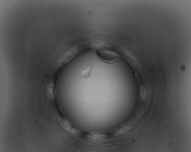 X0000093490670200710191228