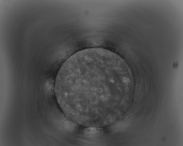 X0000093490672200710191228