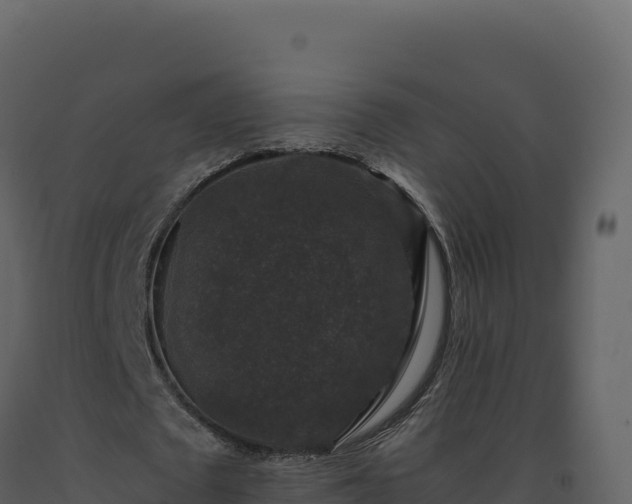 X0000093490673200710191228