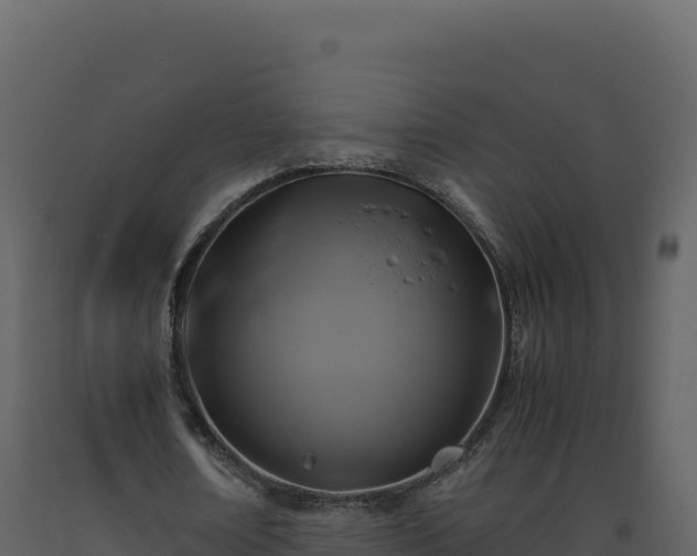 X0000093490674200710191228