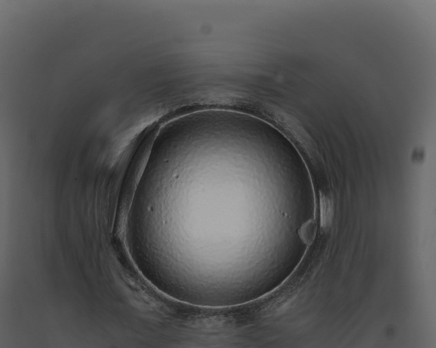 X0000093490675200710191228