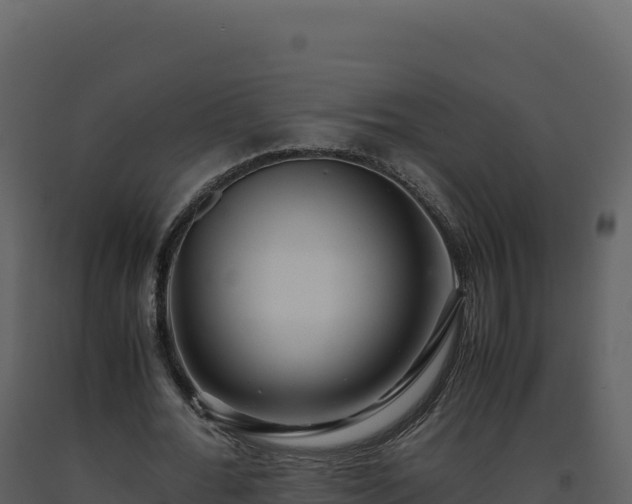 X0000093490676200710191228