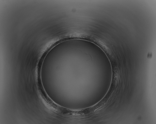 X0000093490678200710191227