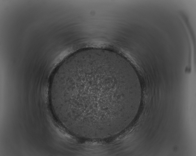 X0000093490679200710191227