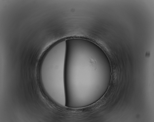 X0000093490680200710191227