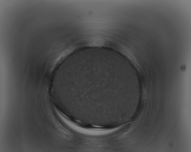 X0000093490681200710191227