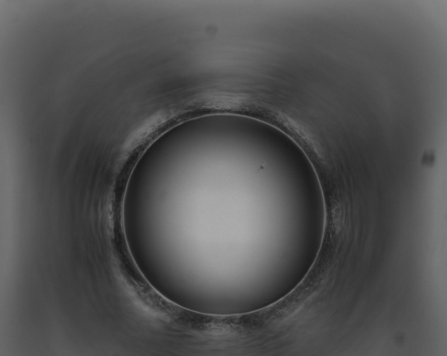 X0000093490682200710191227