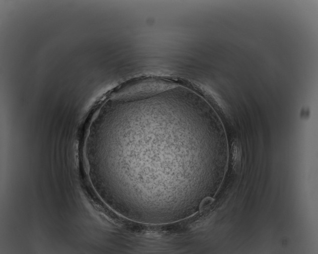 X0000093490684200710191227