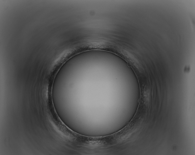 X0000093490686200710191227