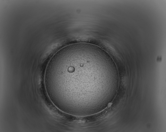 X0000093490687200710191227