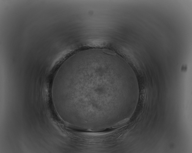 X0000093490688200710191227