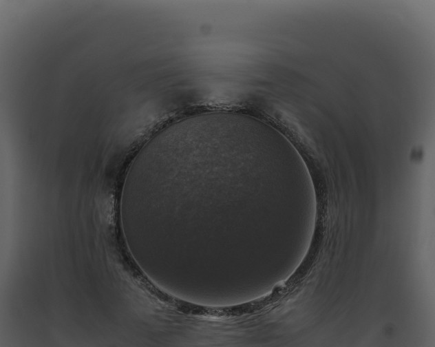 X0000093490689200710191227