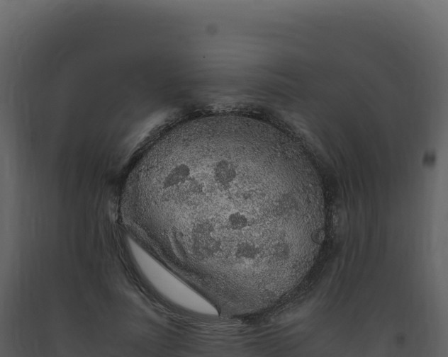 X0000093490691200710191227