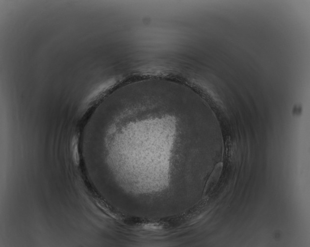 X0000093490692200710191227