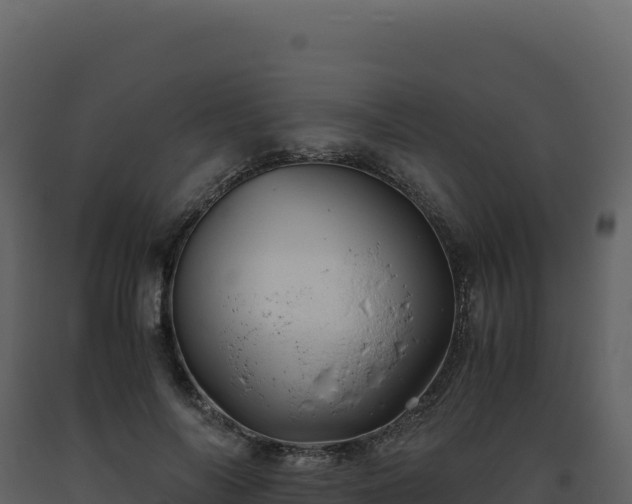 X0000093490694200710191227