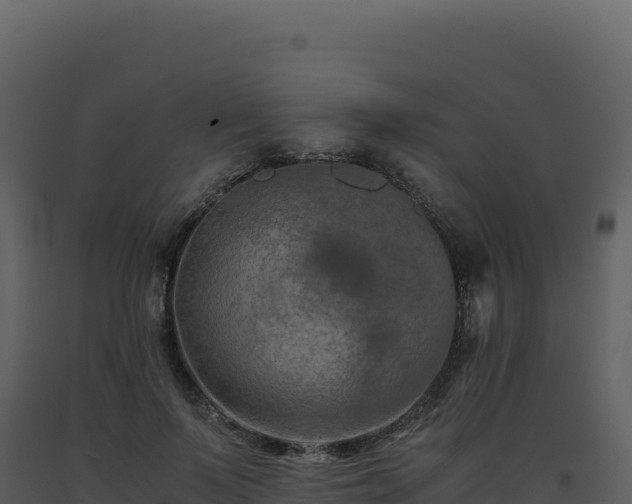 X0000093490695200710191227