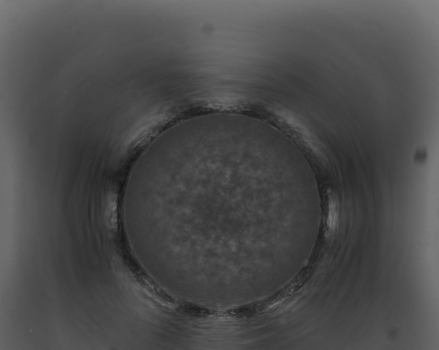 X0000093490696200710191227