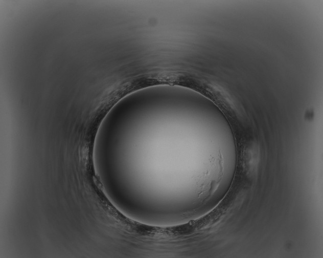 X0000093490697200710191227