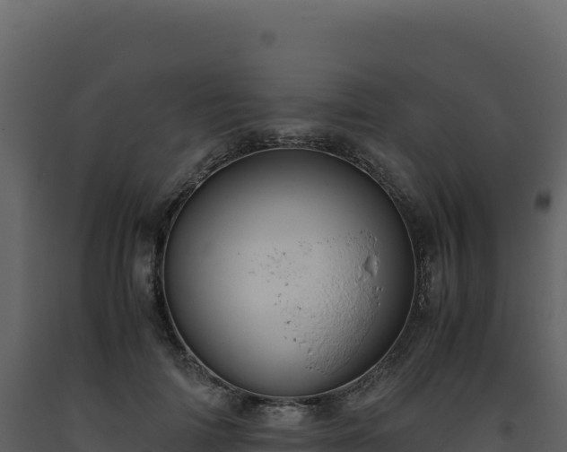 X0000093490698200710191227