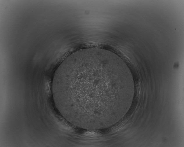 X0000093490699200710191227