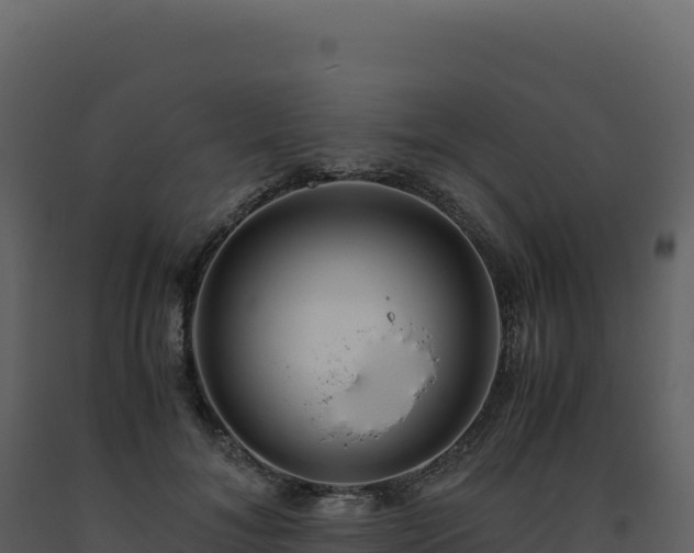 X0000093490700200710191227