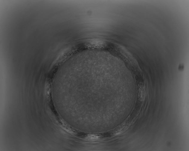 X0000093490701200710191227