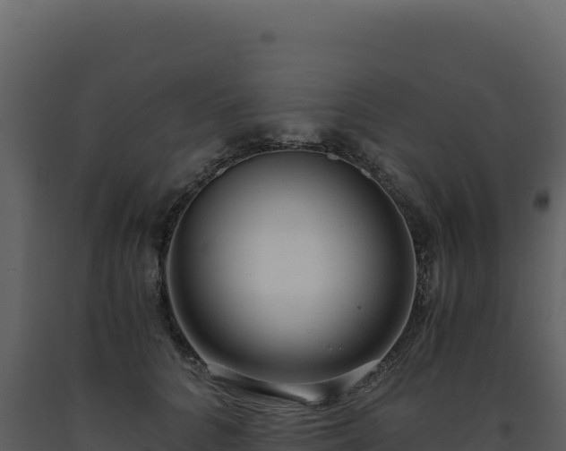 X0000093490704200710191227