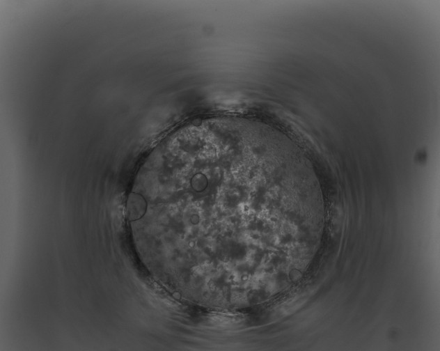X0000093490707200710191227