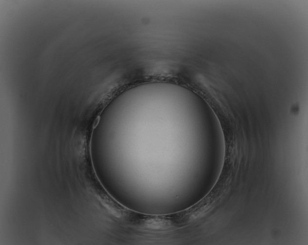 X0000093490708200710191227