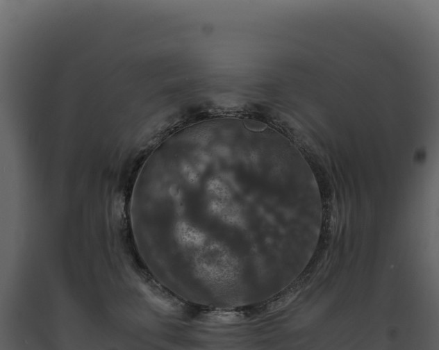 X0000093490711200710191227