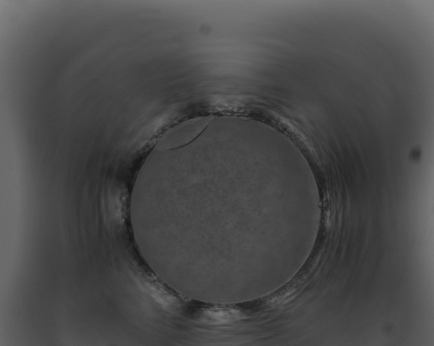 X0000093490712200710191227