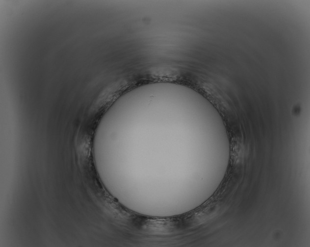 X0000093490713200710191227